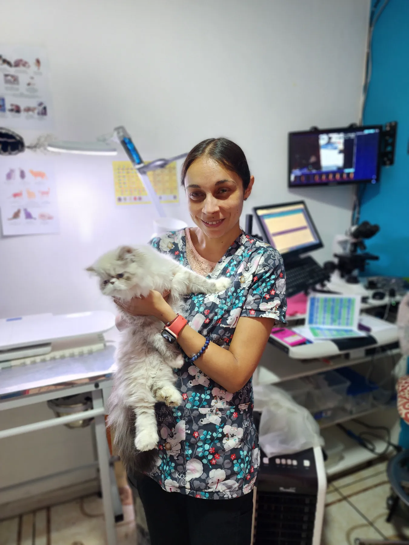 Dra. María José Méndez Campillay — Renacer Pets Vallenar