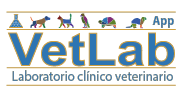 VetLab Laboratorio clínico veterinario