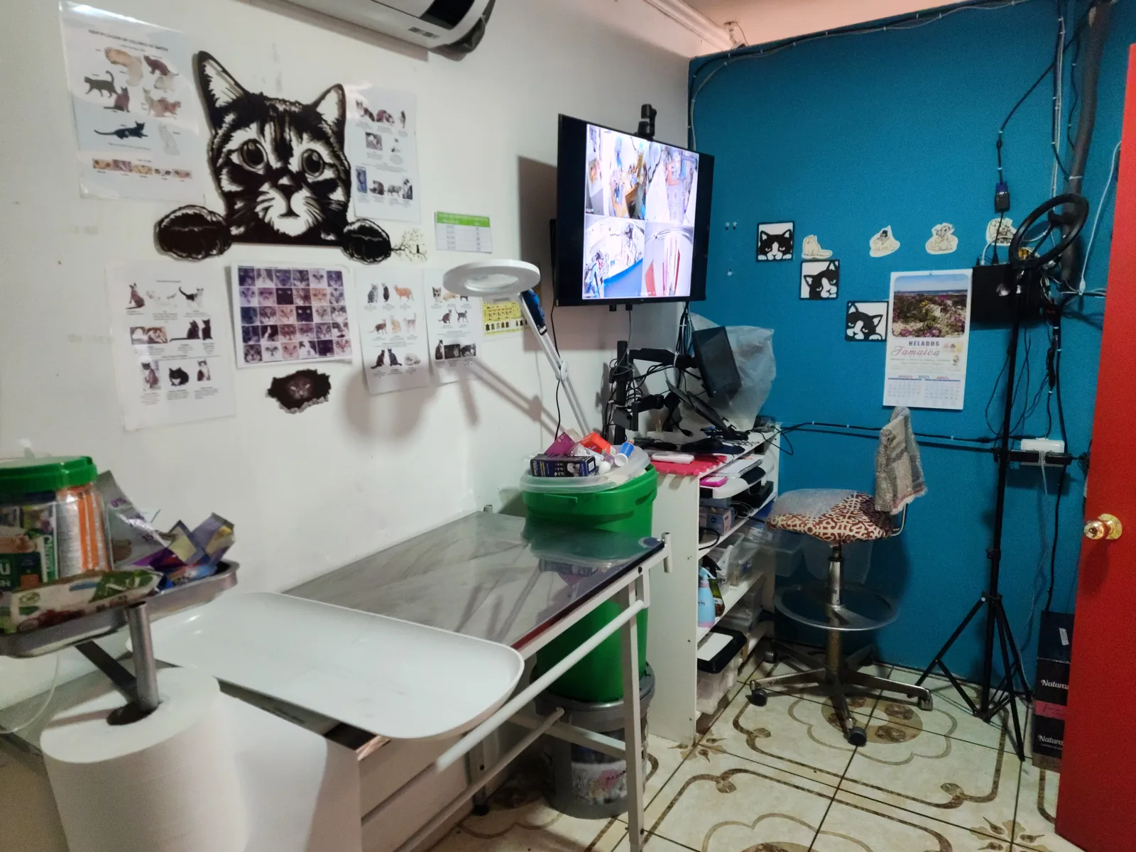 Consultorio veterinario equipado