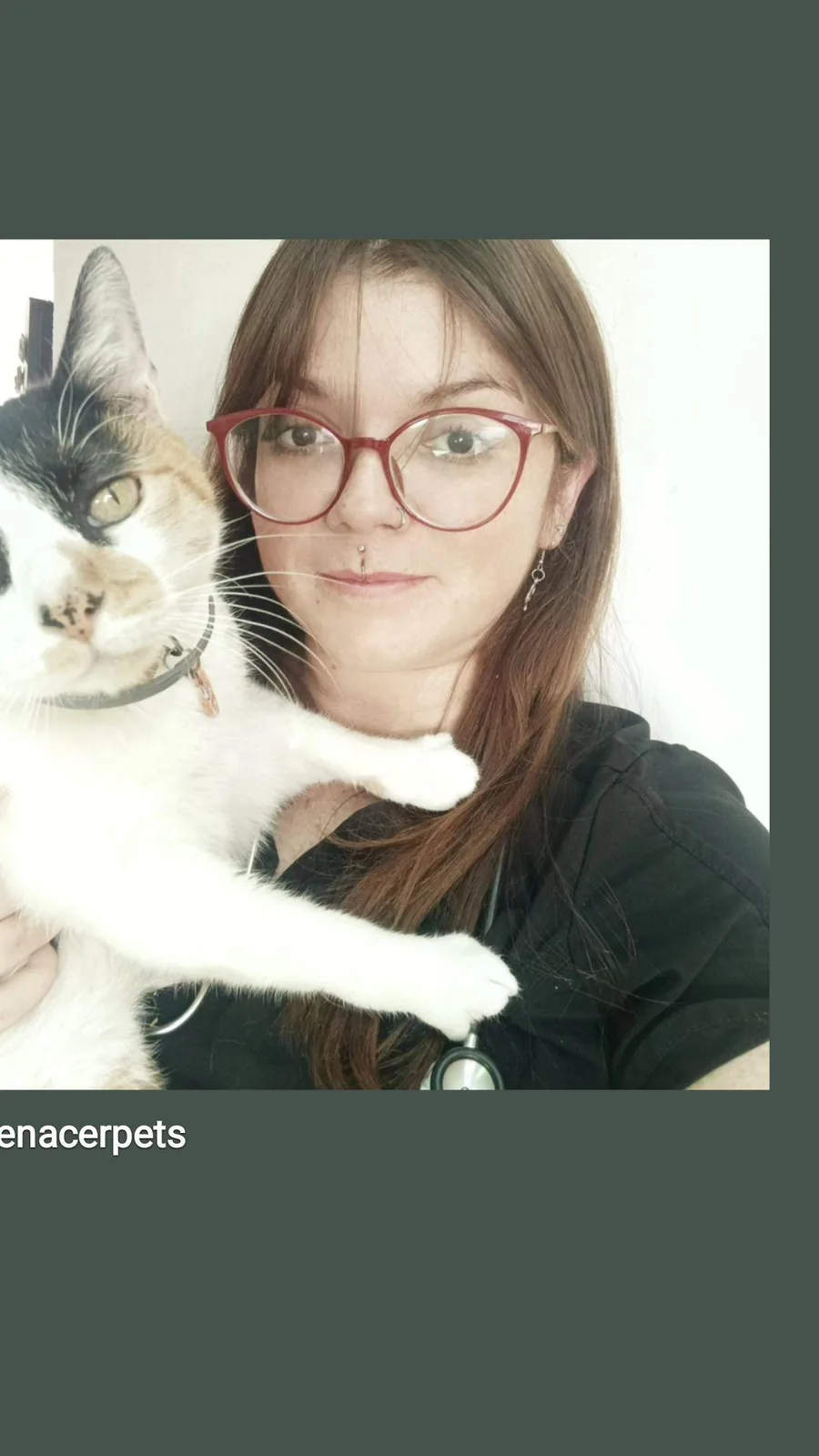 Integrante del equipo con una paciente felina