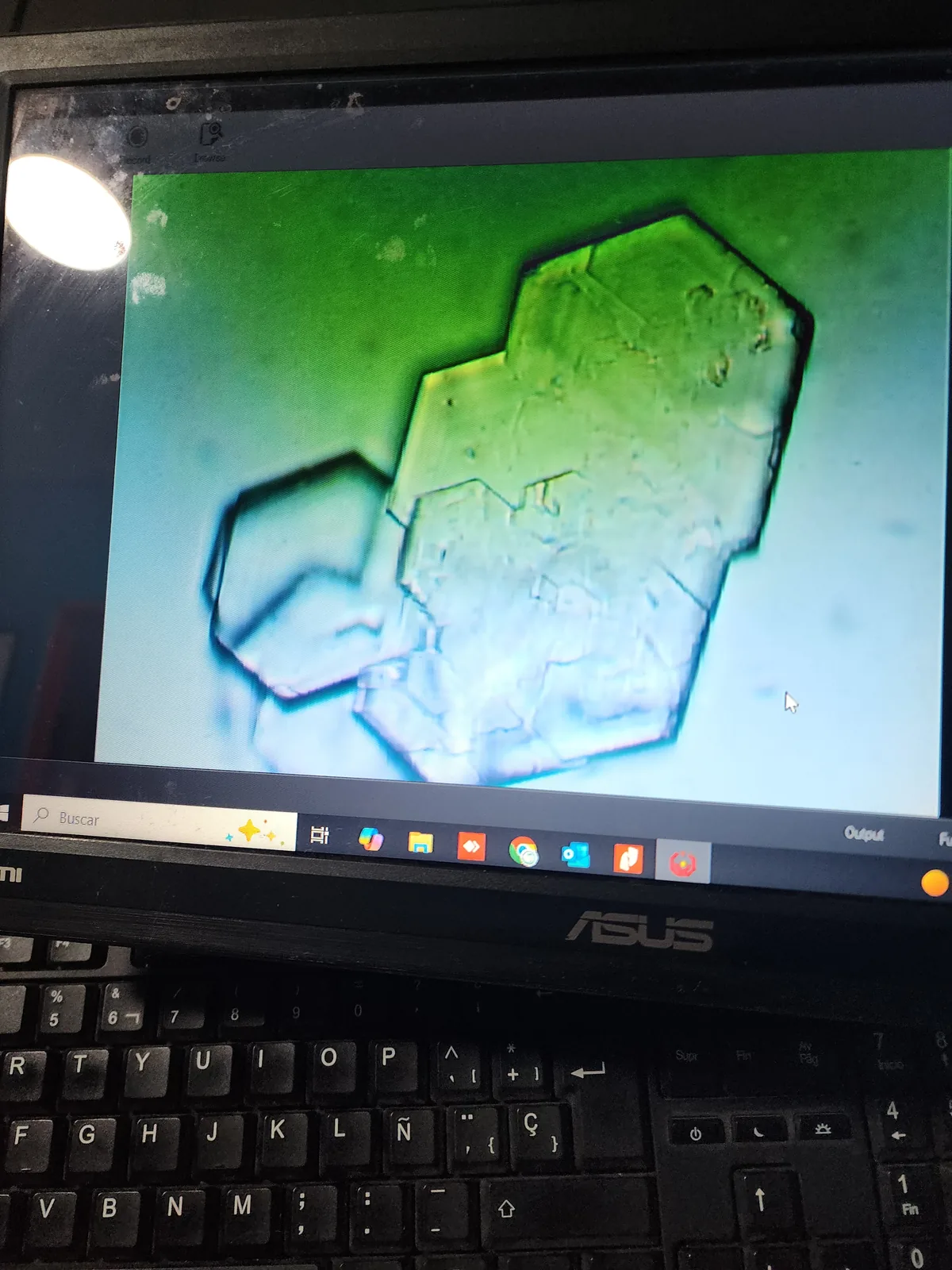 Imagen diagnóstica microscópica