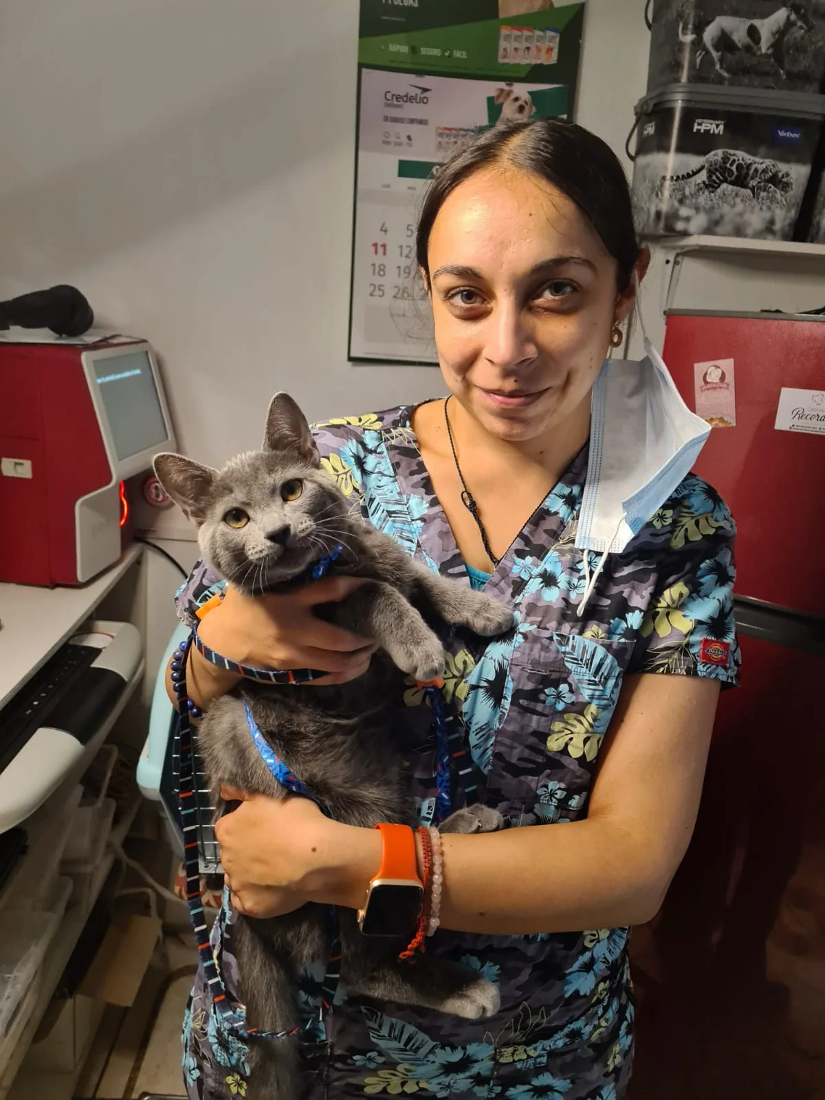 Profesional de Renacer Pets con un gato gris