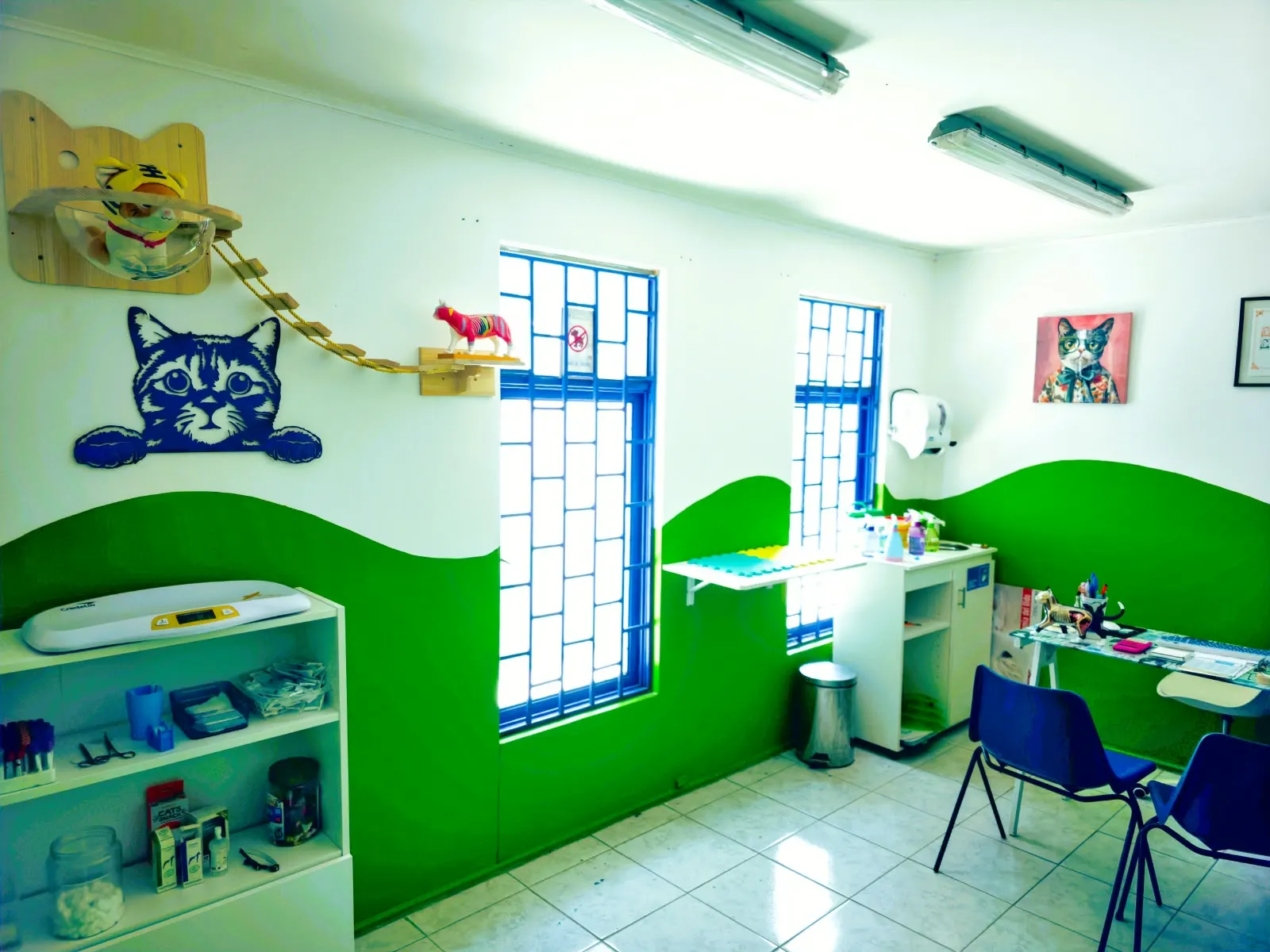 Box felino de Renacer Pets