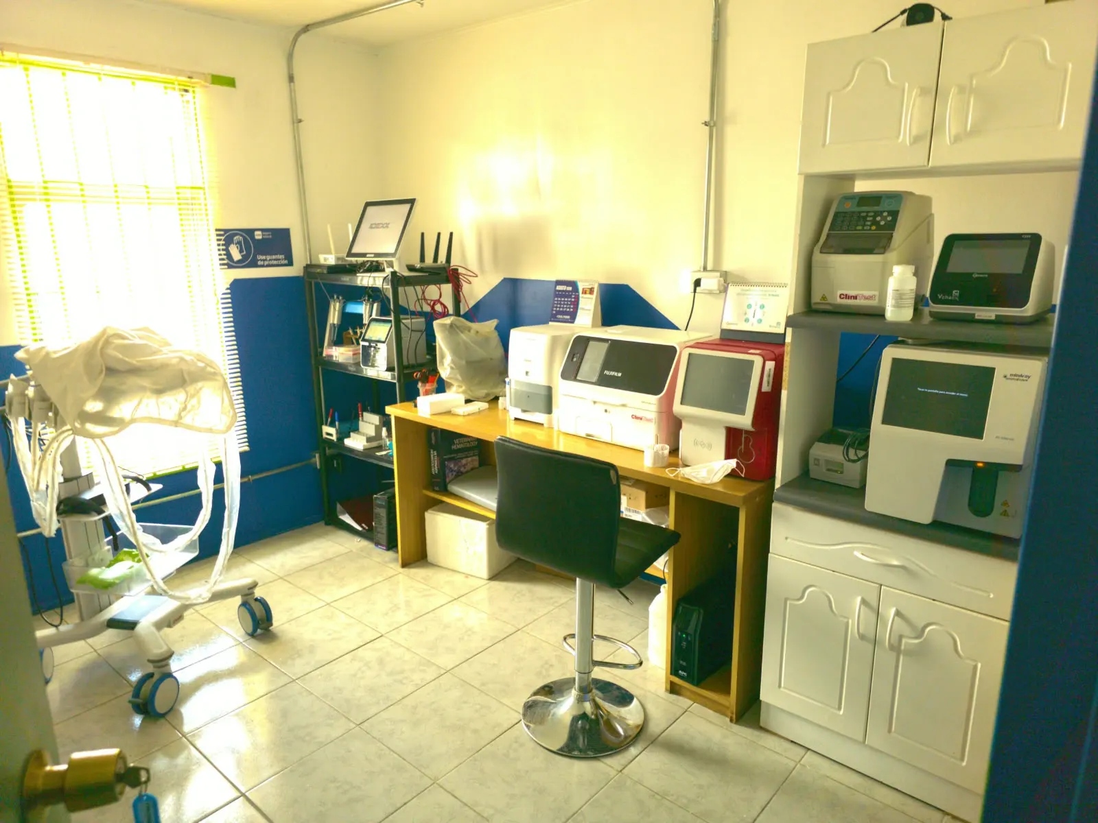 Laboratorio de Renacer Pets